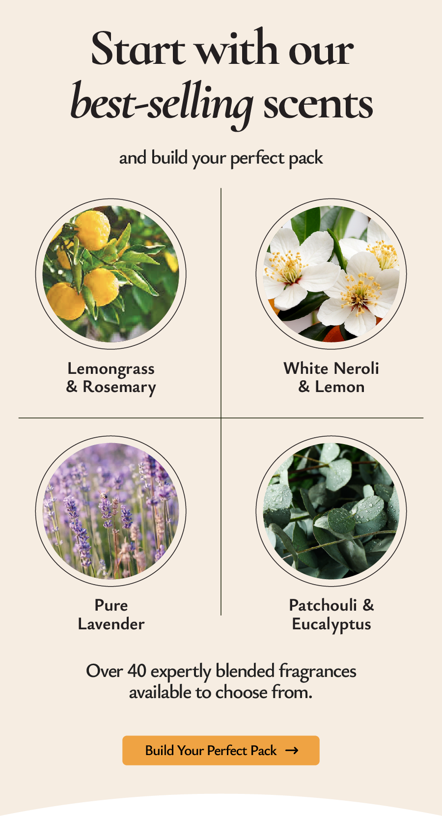 Start with our best - selling scents 