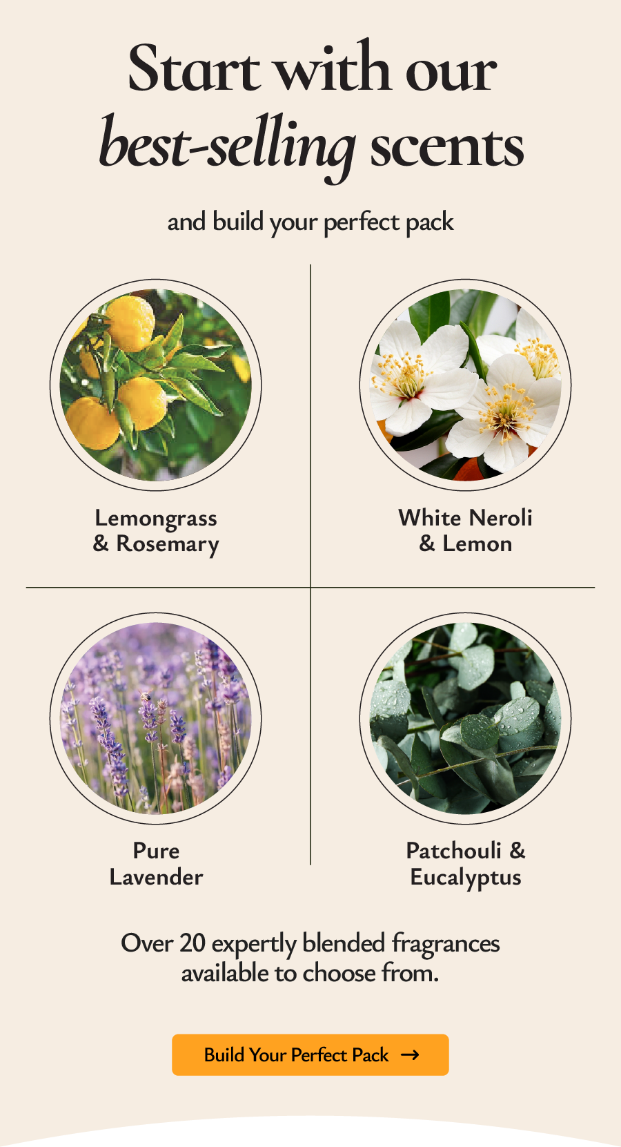 Start with our best - selling scents 