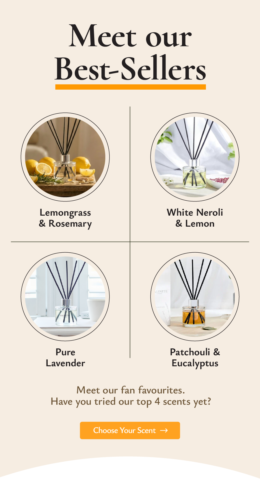 Meet our best sellers