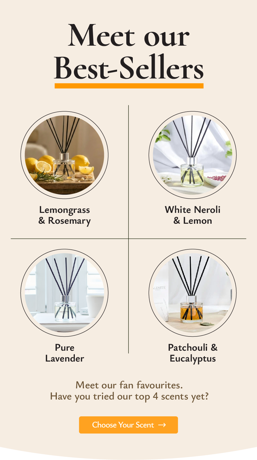 Meet the best sellers 