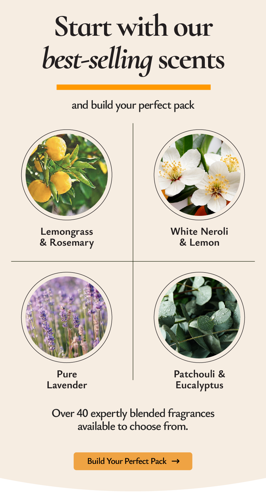 start with our best selling scents 