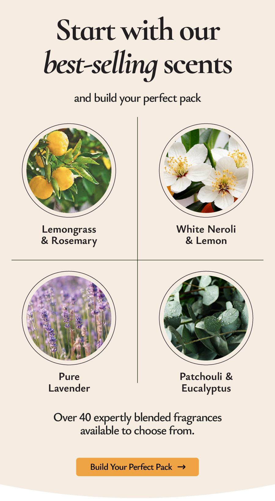 Start with out best - selling scents 