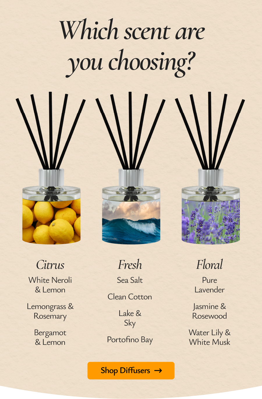 Explore some of our best-selling diffusers and build your bundle.