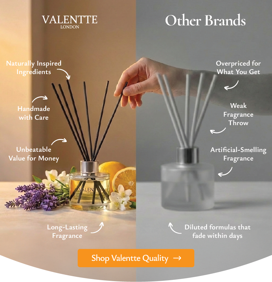 Shop Valentte Quality 