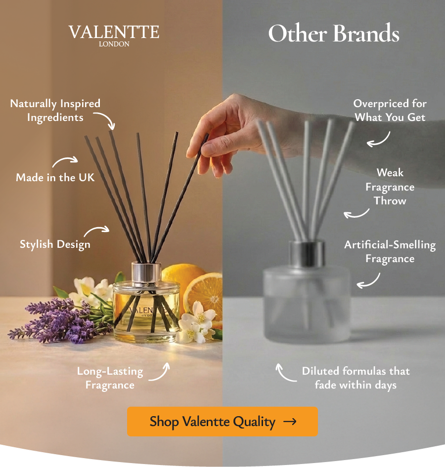 Valentte vs Other Brands 