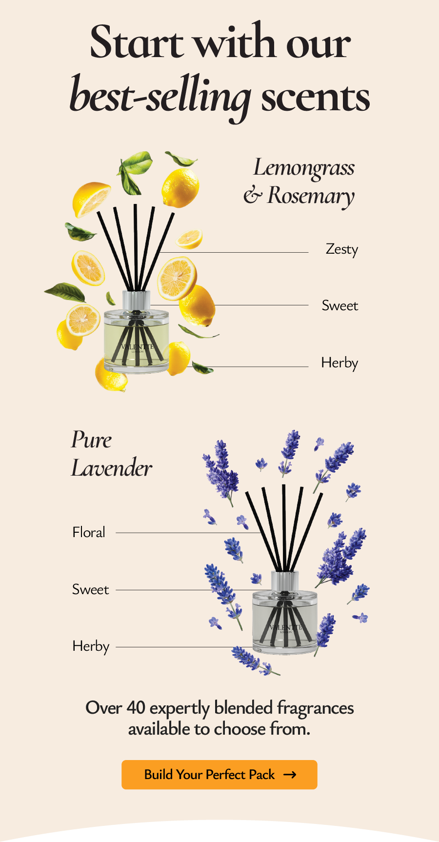 Star with our best selling scents 