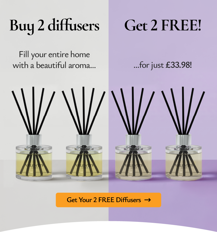 Buy 2 get 2 FREE