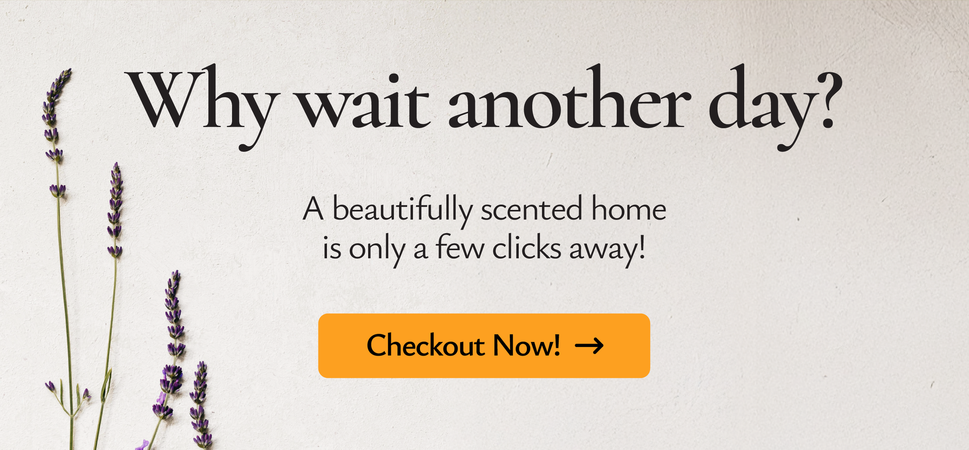 Why wait another day? A beautifully scented home is only a few clicks away. Checkout Now! →