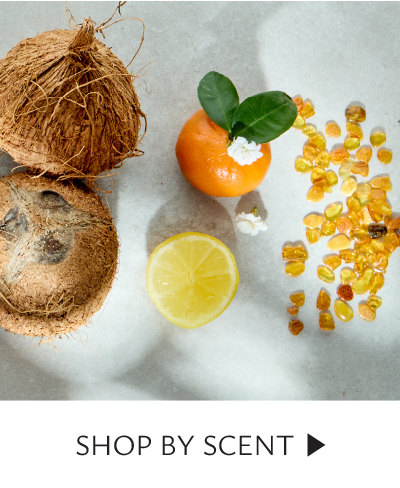 SHOP BY SCENT 