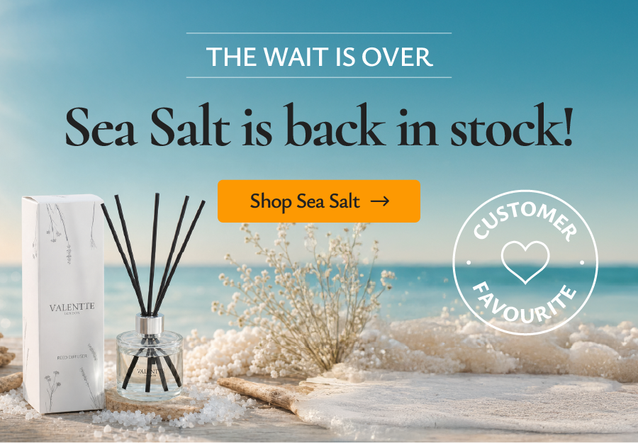 Sea Salt is back!