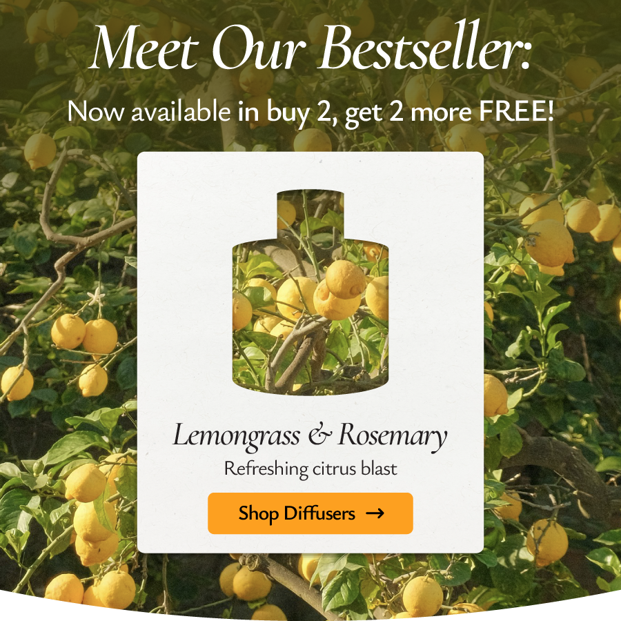Shop our best-selling seasonal diffusers