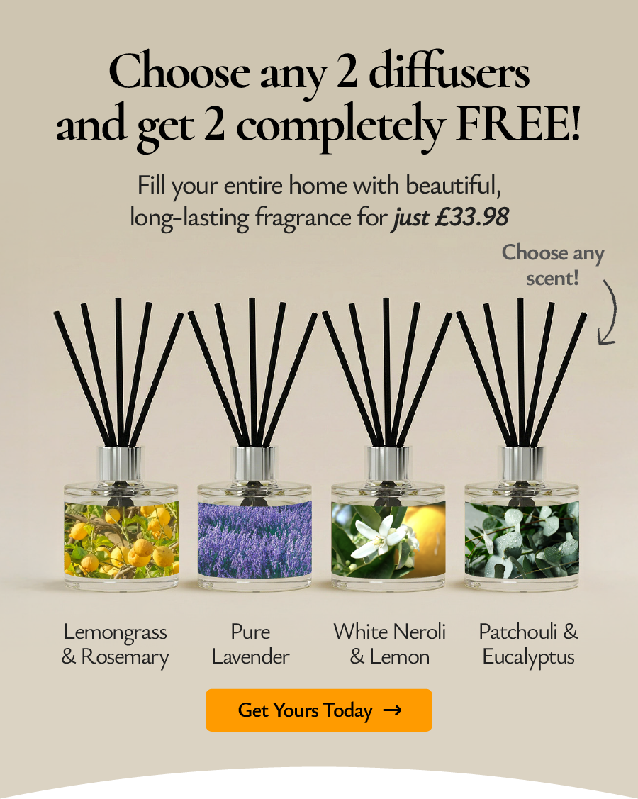 Start with our bestselling scents 