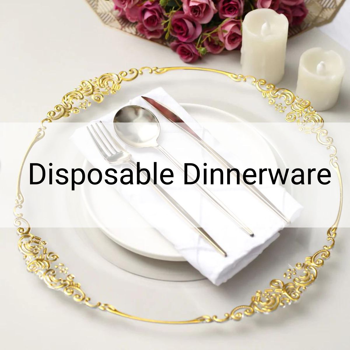 Disposable Dinnerware