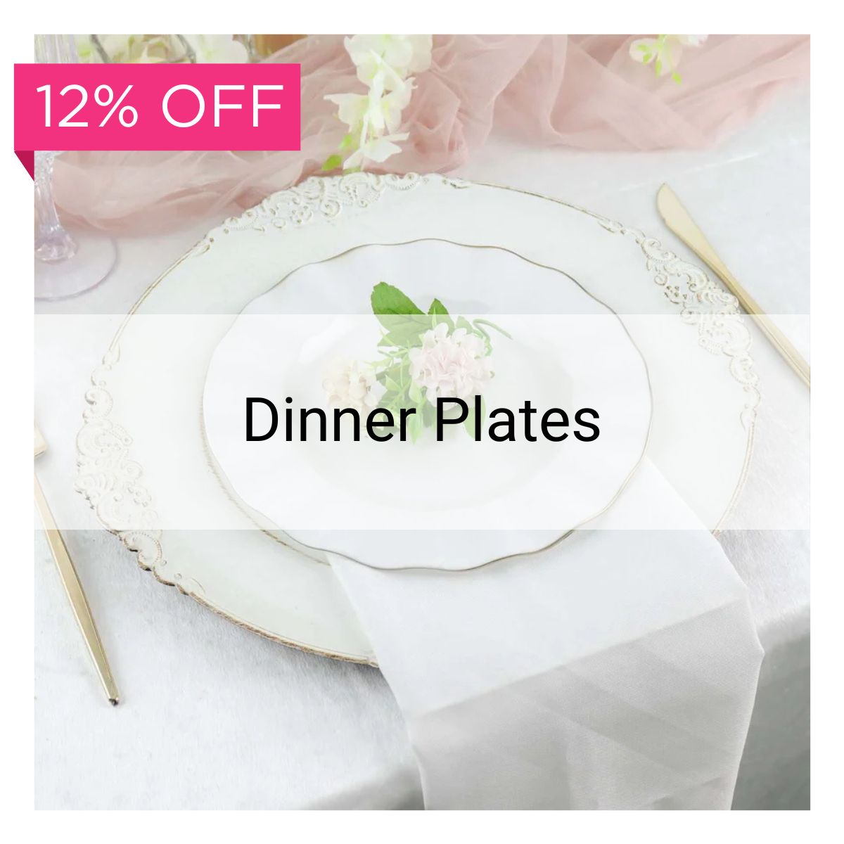 Dinner Plates