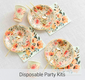 Disposable Party Kits