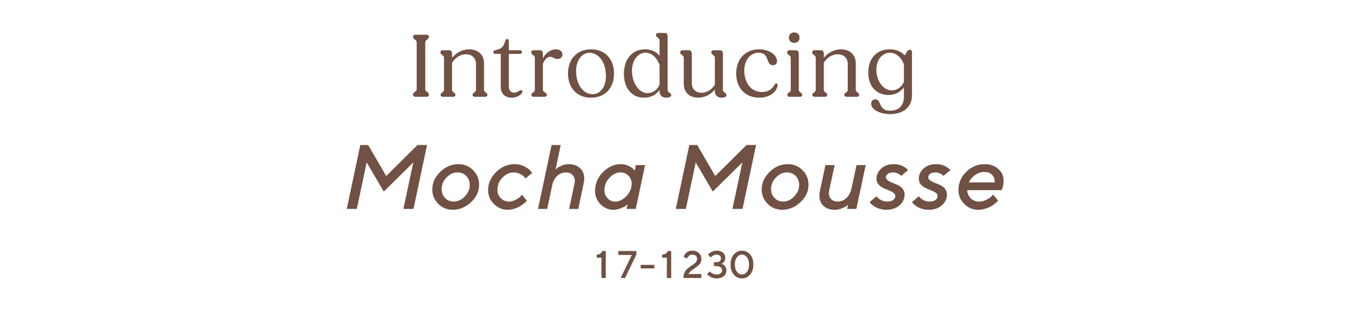 INTRODUCING MOCHA MOUSSE