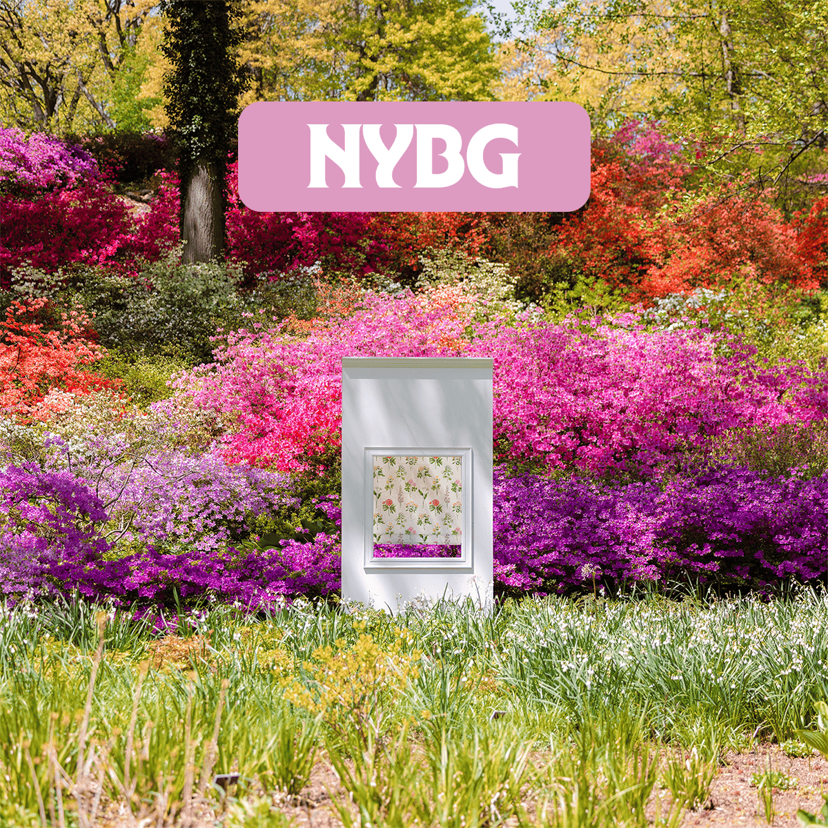 The New York Botanical Garden collection