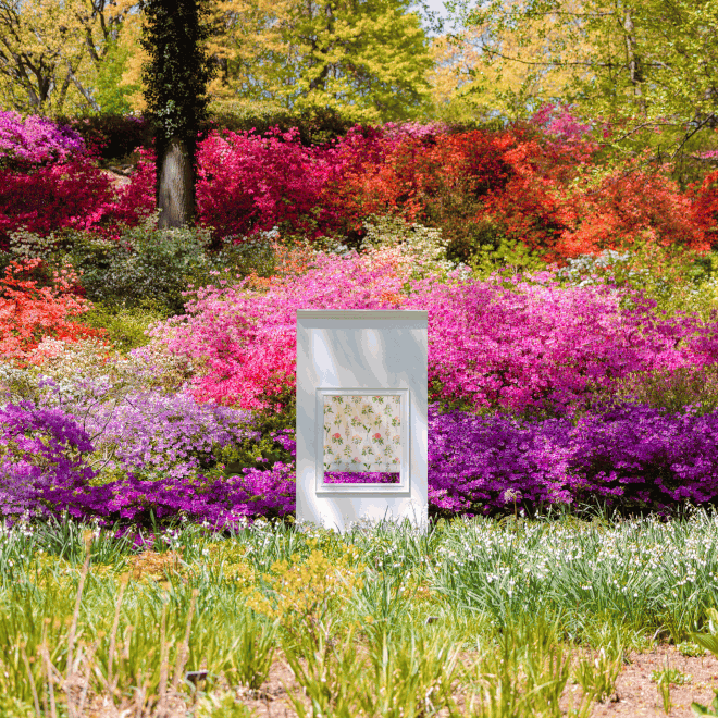 New York Botanical Garden collection