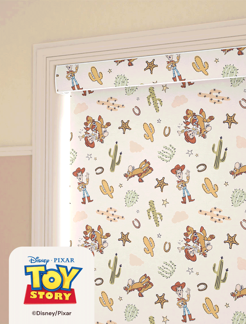 Toy Story Collection