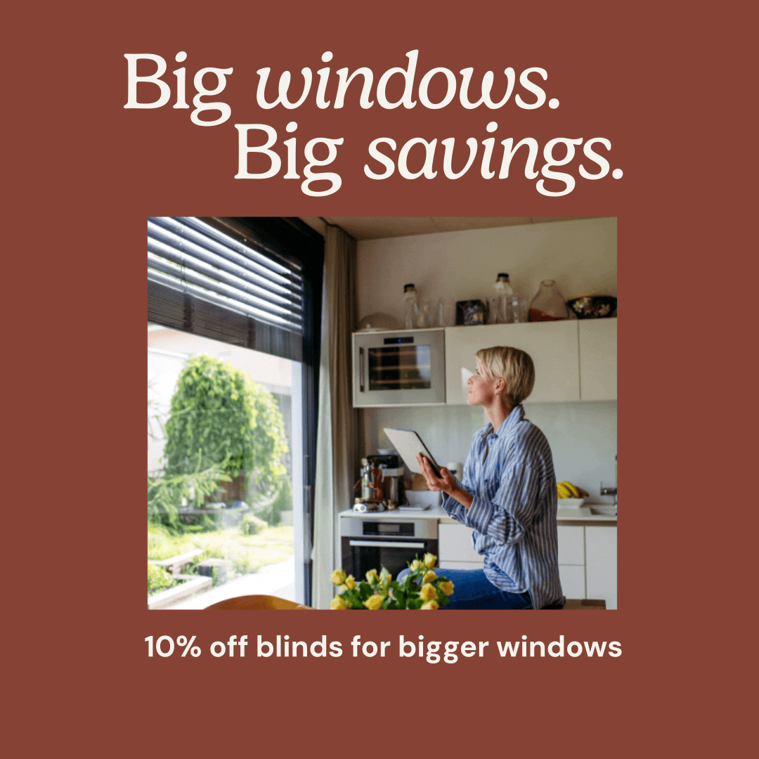 Big windows. Big savings. 