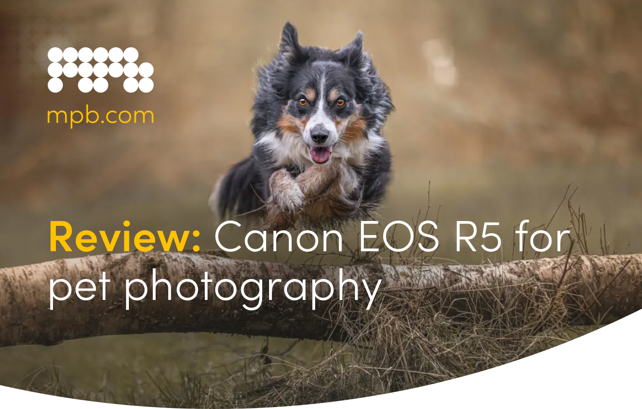 Review: Canon EOS R5 for pet photography