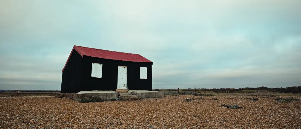 Top Digital Alternatives to the Hasselblad XPan