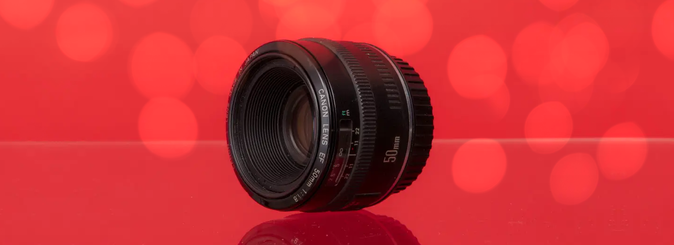 The photography beginner