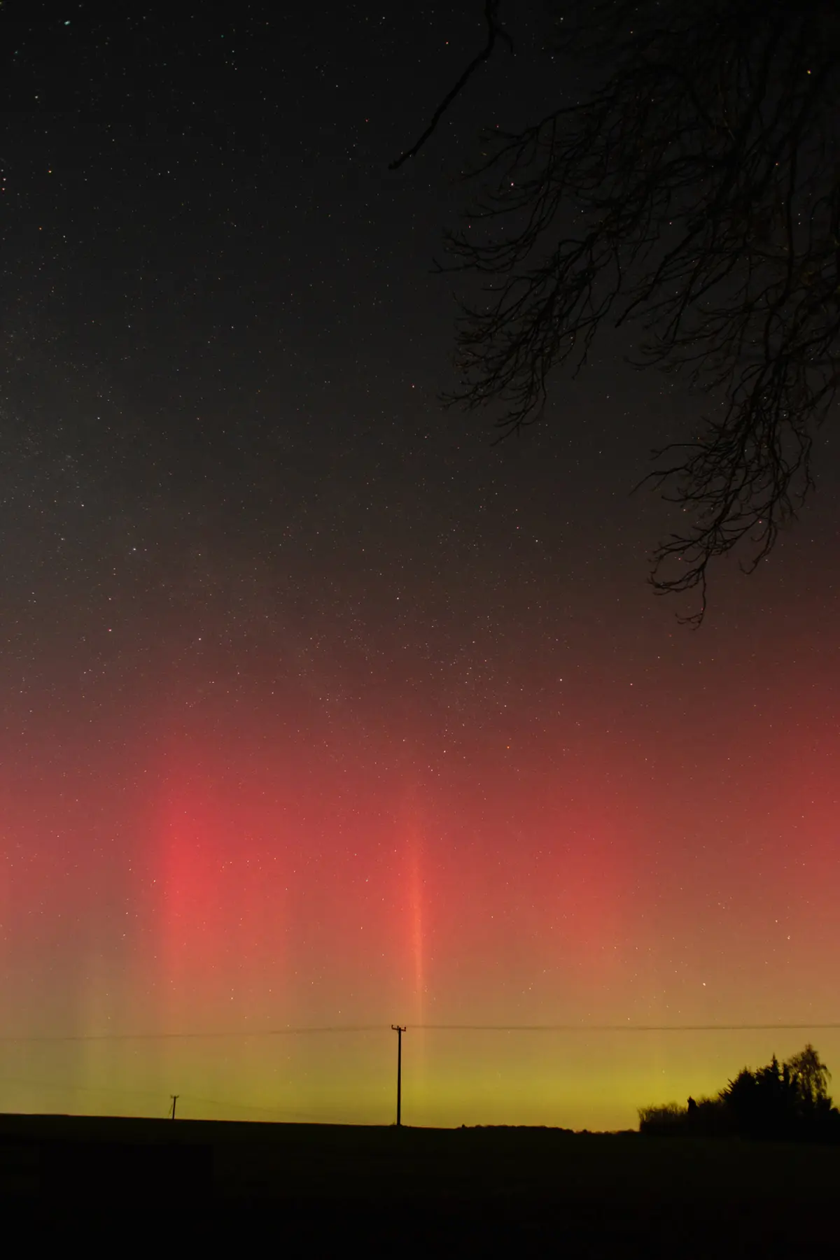 Canon EF Lenses for Astrophotography