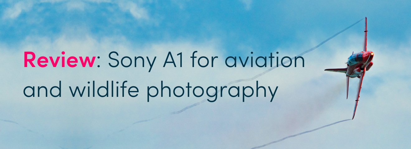 Review: Sony A1 for aviation and wildlife photography