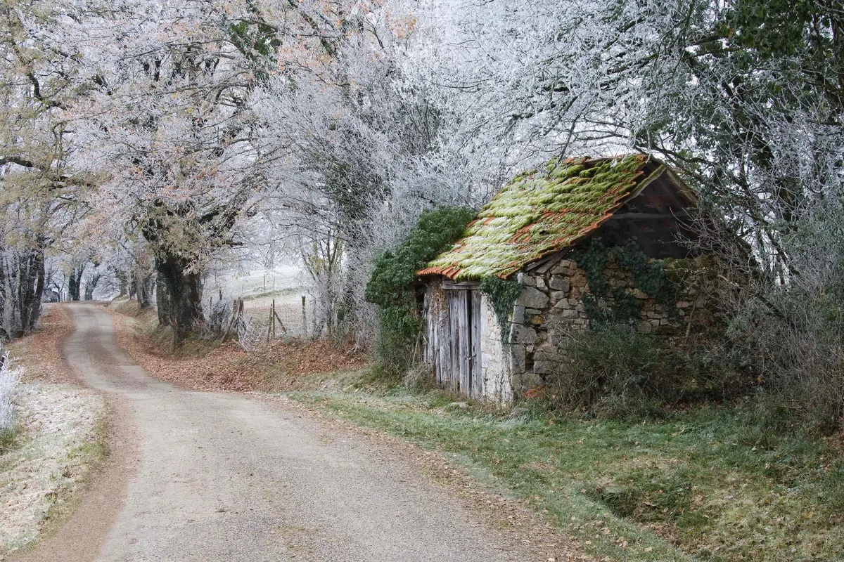 Charlie Waite’s top tips for landscape photography