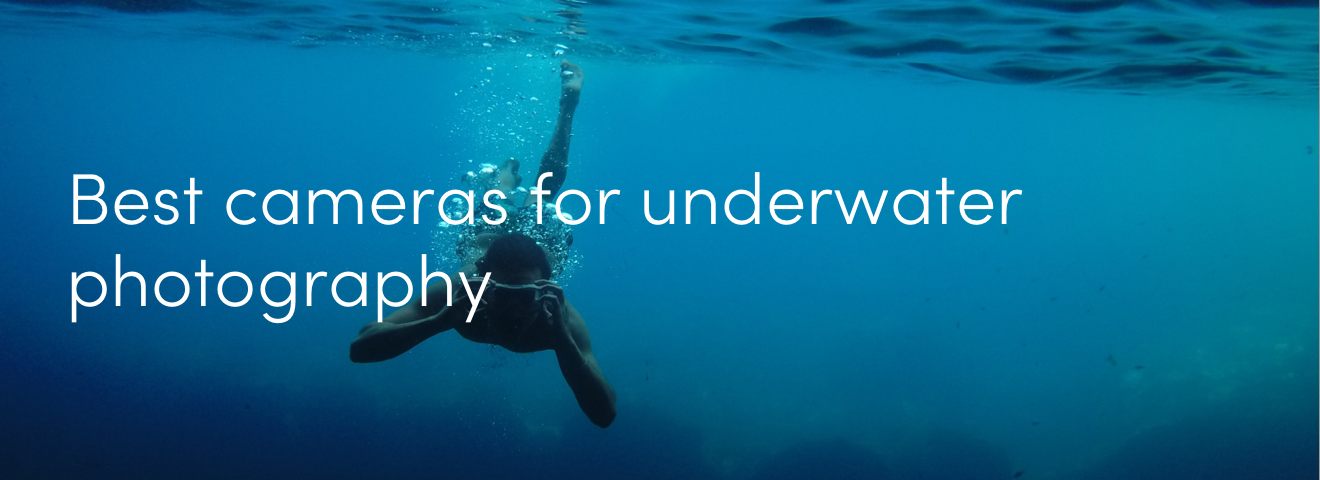 Best cameras for underwater photography