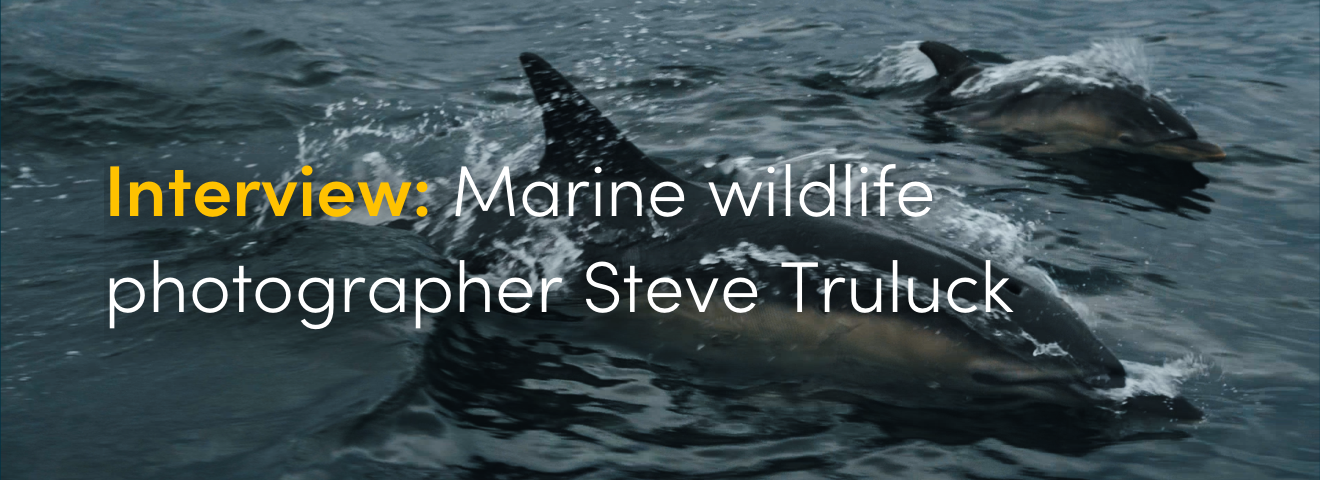 Marine wildlife photographer Steve Truluck
