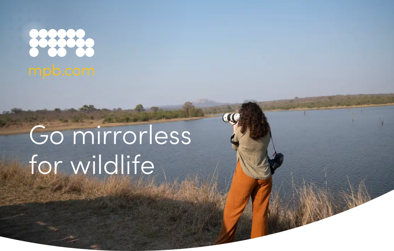 Go mirrorless for wildlife