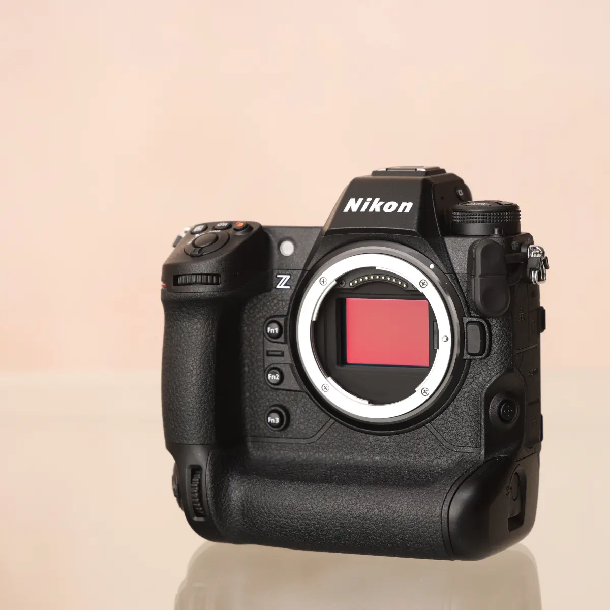 Top Camera Gear for Wildlife Photography
