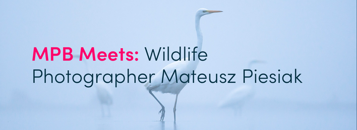 MPB Meets: Wildlife Photographer Mateusz Piesiak