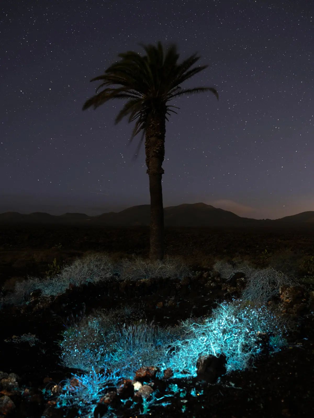 How to Create Light Painting Photography
