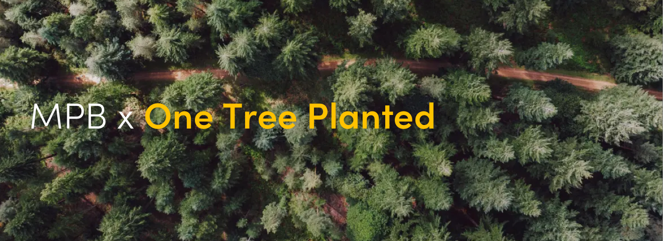 MPB x One Tree Planted