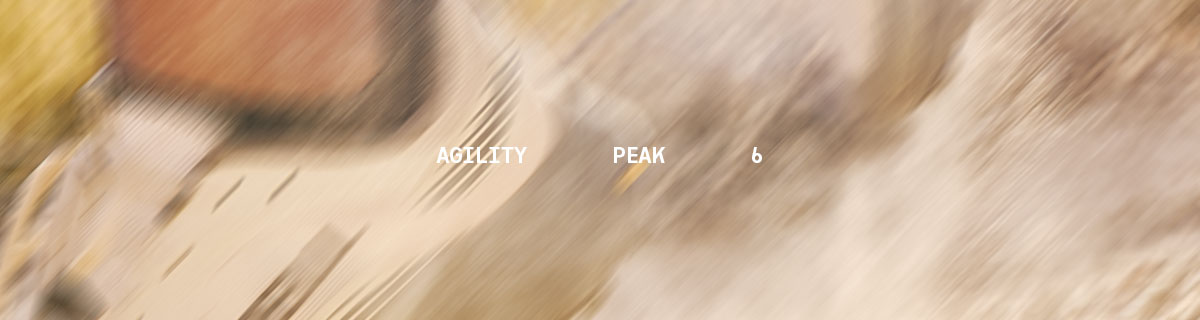 Merrell Agility Peak 6
