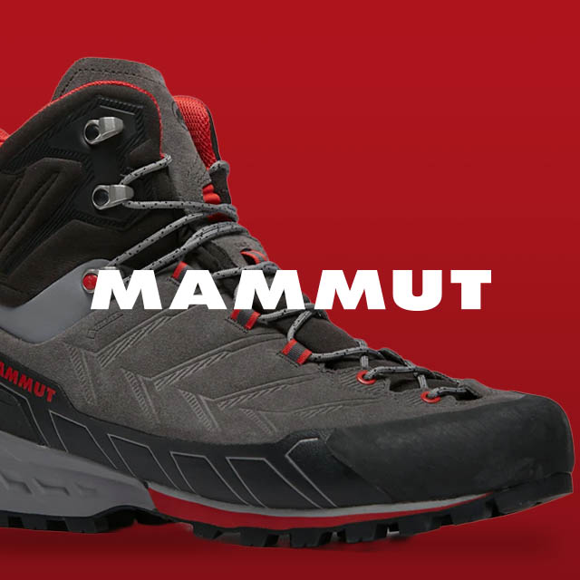 Mammut