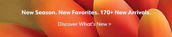 New Season. New Favorites. 170+ New Arrivals