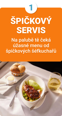 Špičkový servis
