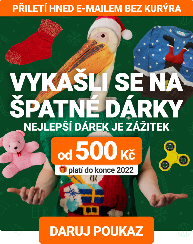 Daruj pod stromeček zážitky