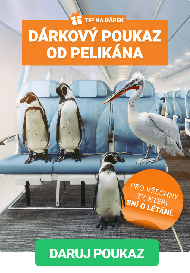 Dárkový poukaz od Pelikána je nejlepší vánoční dárek