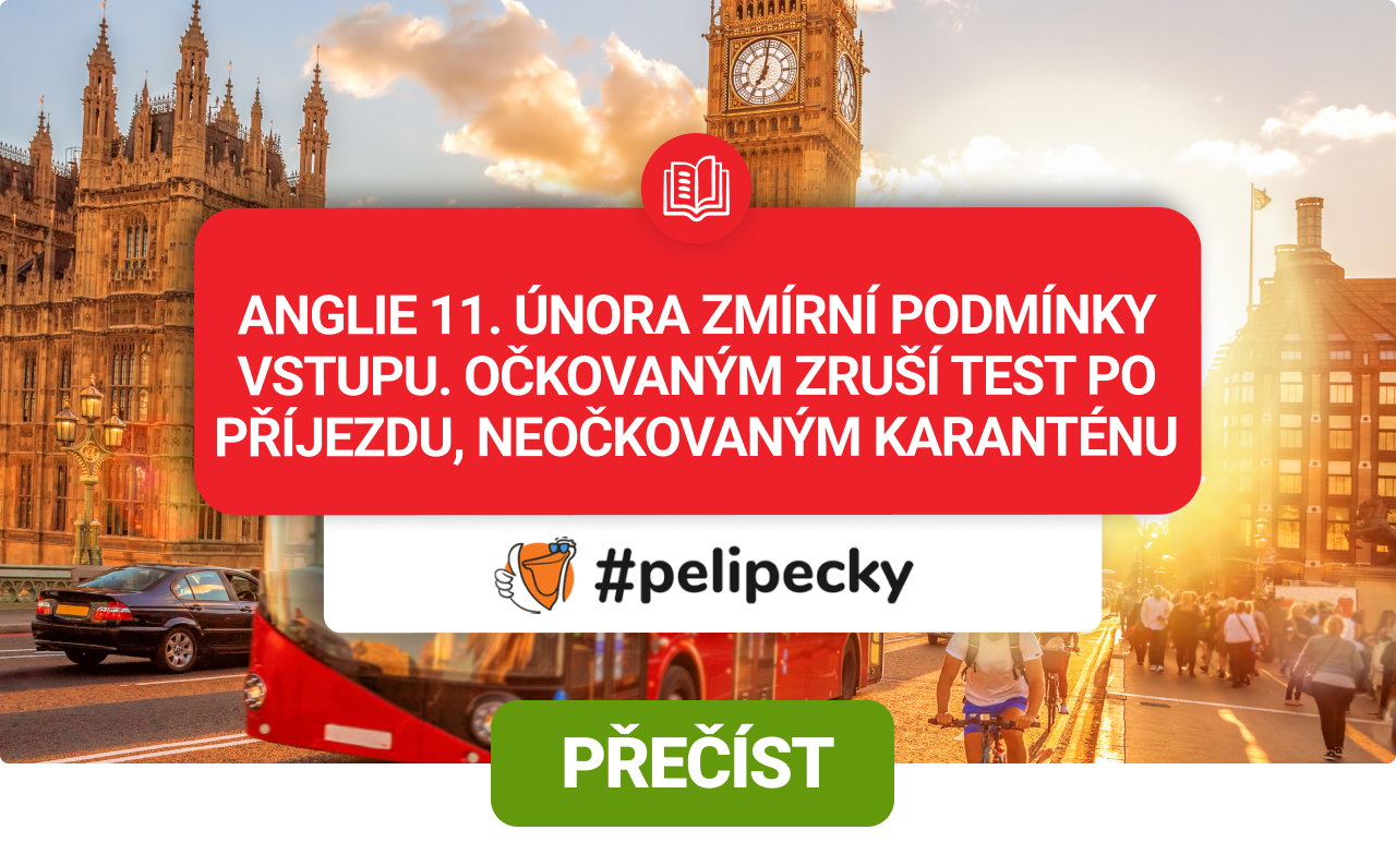 Vstupní podmínky do Anglie