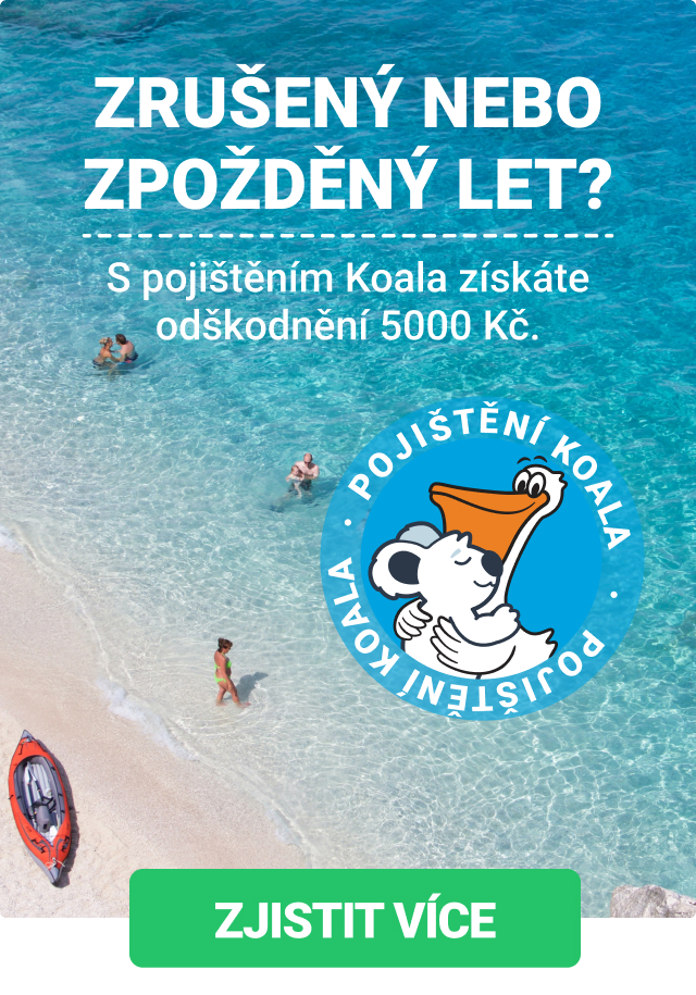 Pojištění Koala