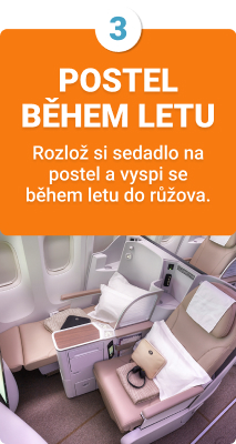 Benefity v byznys třídě