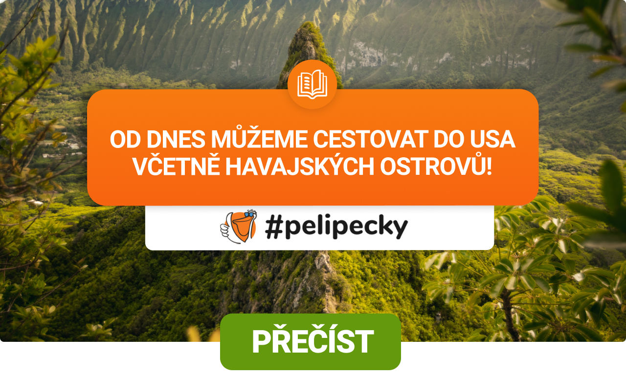Podmínky vstupu do USA