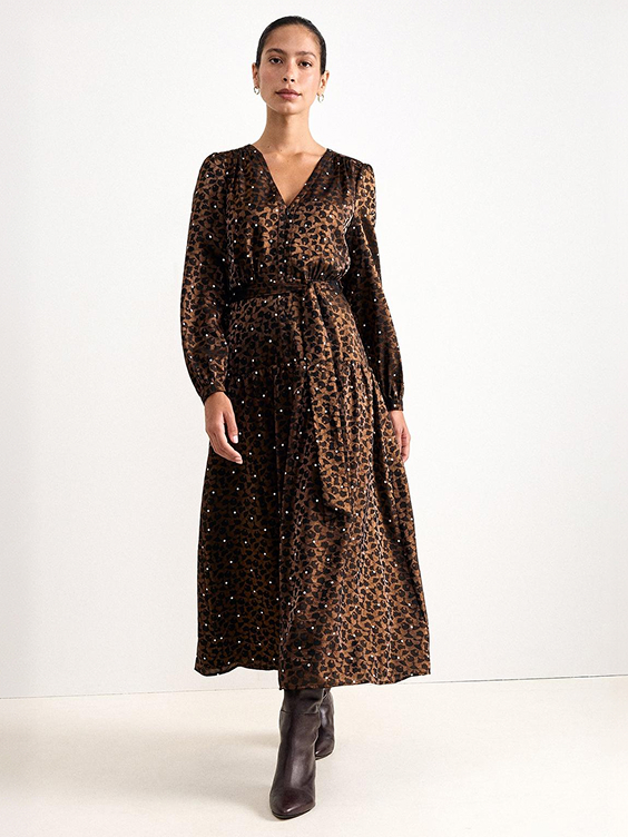 Carolina Spot Jacquard Dress