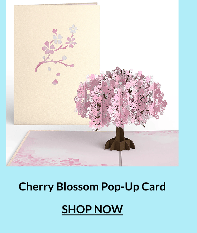 Cherry blossom pop-up card.