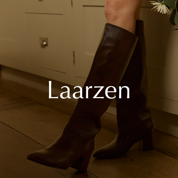 Dames schoenen laarzen enkellaarsjes